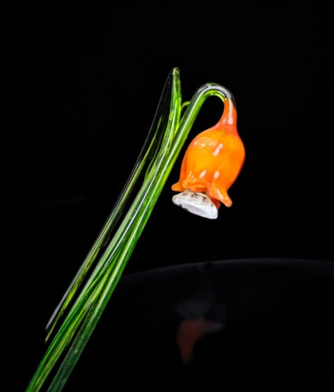 Glass long stem orange bellflower