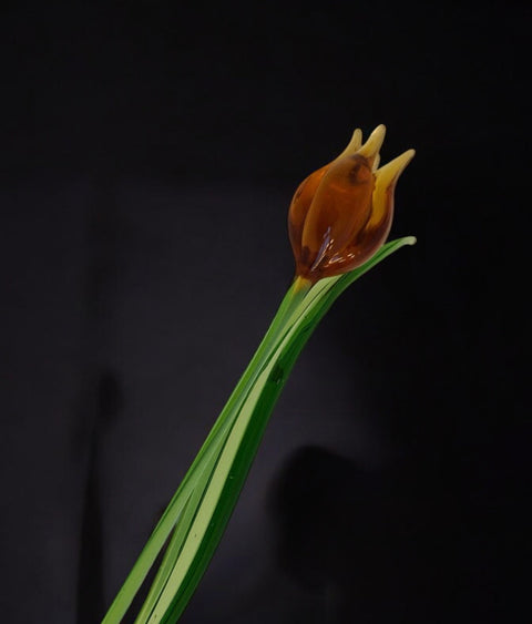 Glass flower short stem amber tulip