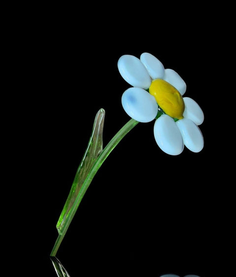 White Glass Daisy - Handcrafted Long Stem Flower