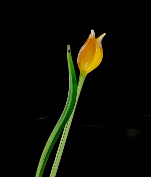 Yellow Glass Tulip - Handcrafted Short Stem Flower