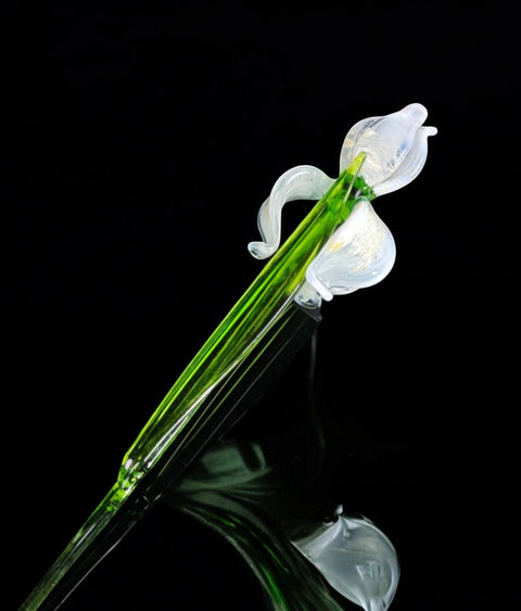 Glass flower long stem white iris