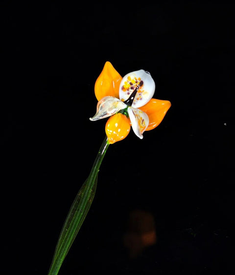 Glass flower long stem orange orchid