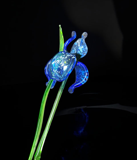 Blue Glass Iris - Handcrafted Long Stem Flower