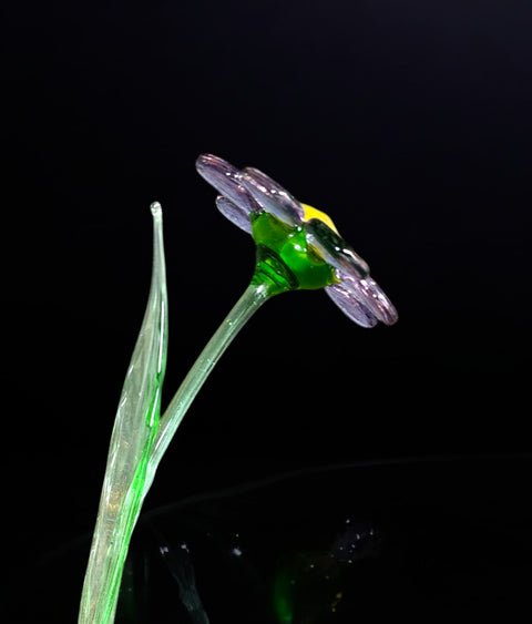 Lavender Glass Daisy - Handcrafted Long Stem Flower