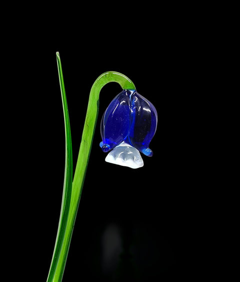 Glass long stem blue bellflower