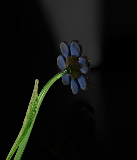 Blue Glass Daisy - Handcrafted Short Stem Flower