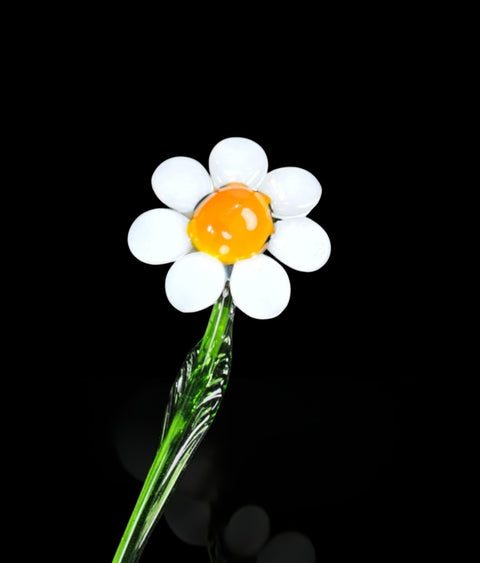 White Glass Daisy - Handcrafted Short Stem Flower