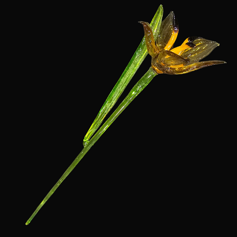 Amber Glass Lily, Handcrafted Glass Flower, Hand Made In Ukraine Using Murano Quality Glass, Great Gift For Flower Lovers, 12 Inch Lily