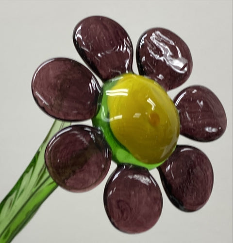 Purple Glass Daisy, Handcrafted Glass Flower, Hand Made In Ukraine Using Murano Quality Glass, Great Gift For Flower Lovers, 6 Inch Daisy