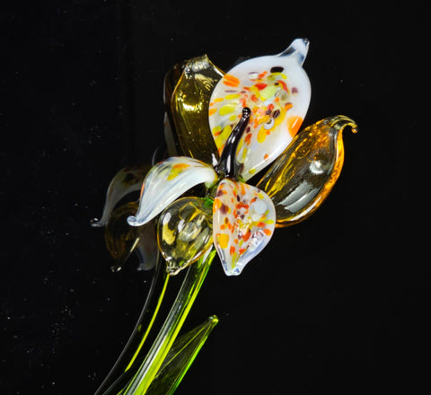 Glass flower long stem amber orchid