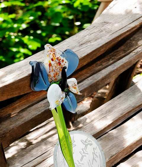 Blue Glass Orchid - Handcrafted Long Stem Flower