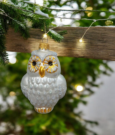 Hand Decorated Glass Keepsake Ornament - Charming Silver Owl Design