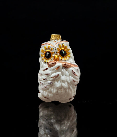 Hand Decorated Glass Keepsake Ornament - Charming Owl With Flute Design