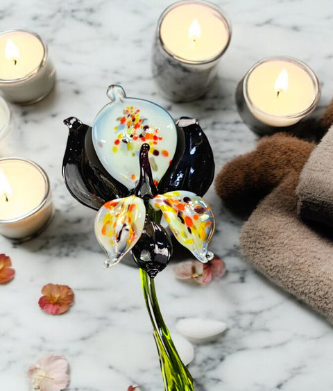 Black Glass Orchid, Handcrafted Glass Flower, Hand Made In Ukraine Using Murano Quality Glass, Great Gift For Flower Lovers, 6 Inch Orchid
