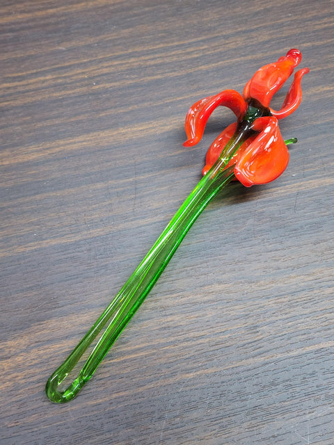 Orange Glass Iris - Handcrafted Long Stem Flower