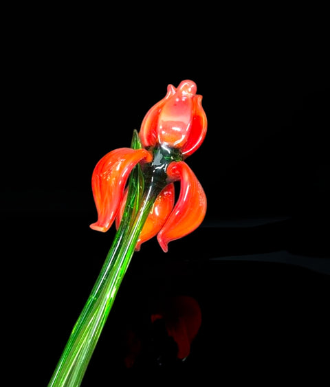 Red Glass Iris - Handcrafted Long Stem Flower