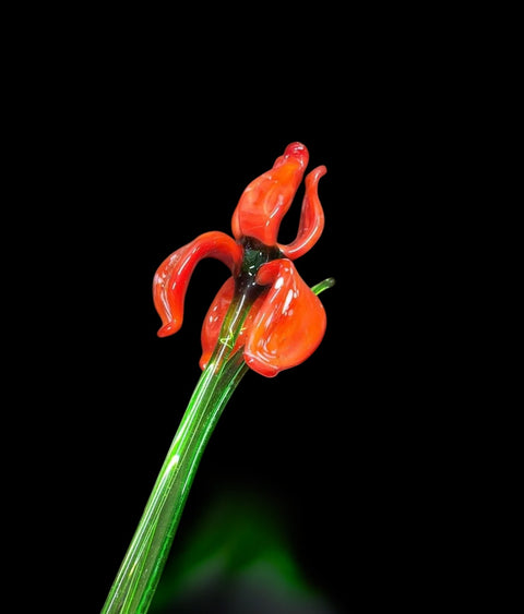 Red Glass Iris - Handcrafted Short Stem Flower