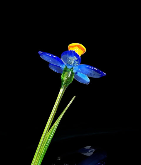 Blue Glass Daffodil - Handcrafted Long Stem Flower