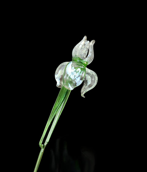 Clear Glass Iris - Handcrafted Long Stem Flower