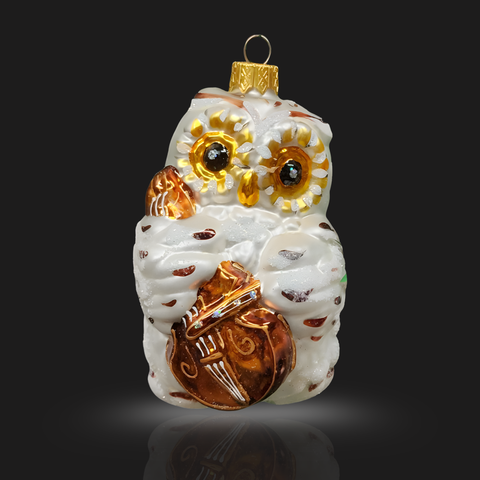 Hand Decorated Glass Keepsake Ornament - Charming Owl w Cello Design
