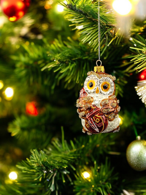 Owl Ornament - Hand Made In Ukraine - Blown Glass Ornament - Hand Decorated - Keepsake Ornament - Owl w Cello - Wise Owl - Figurative Ornament