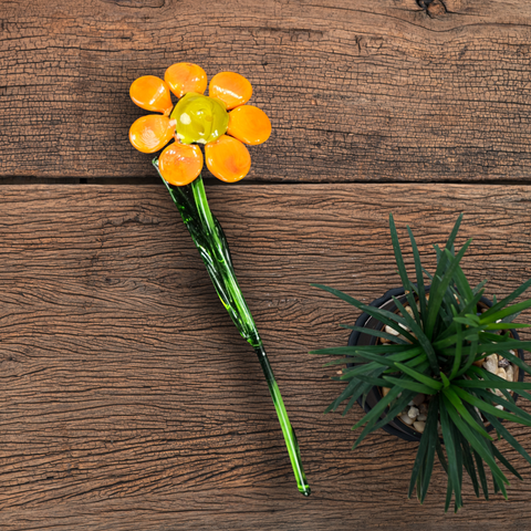 Orange Glass Daisy, Handcrafted Glass Flower, Hand Made In Ukraine Using Murano Quality Glass, Great Gift For Flower Lovers, 6 Inch Daisy