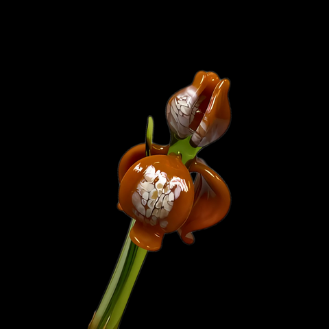 Orange Glass Iris, Handcrafted Glass Flower, Hand Made In Ukraine Using Murano Quality Glass, Great Gift For Flower Lovers, 6 Inch Iris
