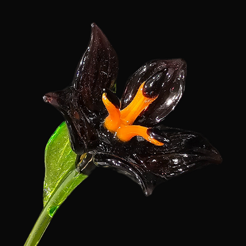 Purple Glass Lily, Handcrafted Glass Flower, Hand Made In Ukraine Using Murano Quality Glass, Great Gift For Flower Lovers, 6 Inch Lily (Copy)