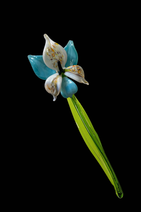 Aqua Glass Orchid, Handcrafted Glass Flower, Hand Made In Ukraine Using Murano Quality Glass, Great Gift For Flower Lovers, 6 Inch Orchid