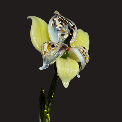 Pale Yellow Glass Orchid, Handcrafted Glass Flower, Hand Made In Ukraine Using Murano Quality Glass, Great Gift For Flower Lovers, 6 Inch Orchid