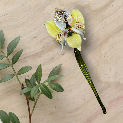 Pale Yellow Glass Orchid, Handcrafted Glass Flower, Hand Made In Ukraine Using Murano Quality Glass, Great Gift For Flower Lovers, 6 Inch Orchid