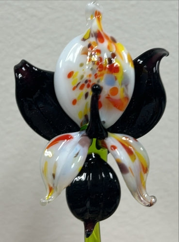 Black Glass Orchid, Handcrafted Glass Flower, Hand Made In Ukraine Using Murano Quality Glass, Great Gift For Flower Lovers, 6 Inch Orchid