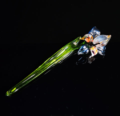 a close up of a flower on a black background