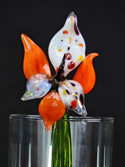 a glass vase with a flower in it