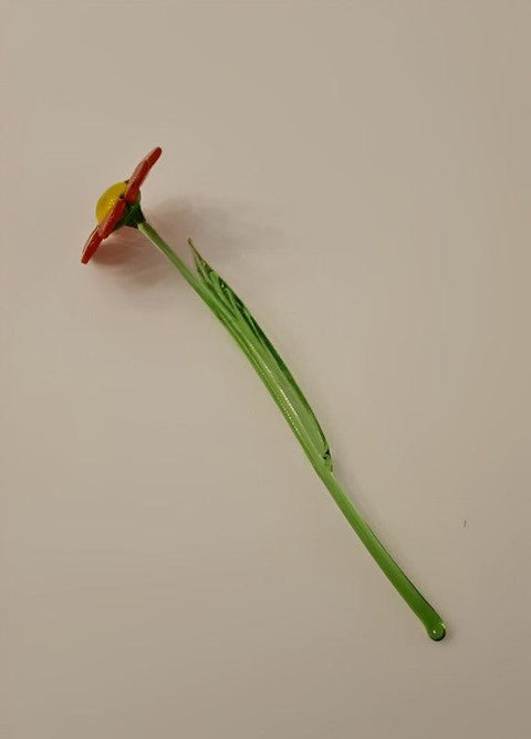 a single flower that is sitting on a table