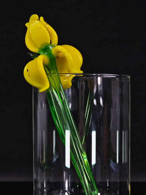 a glass vase with yellow flowers in it