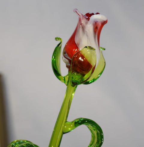 Long Stem Glass Rose - Red and White - Single Rose - Handmade Flower - Alma Mater Rose - Made In Ukraine - Murano Quality