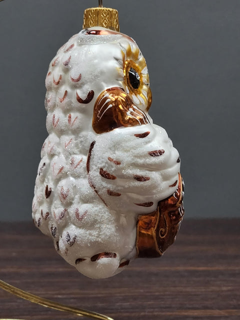 Hand Decorated Glass Keepsake Ornament - Charming Owl w Cello Design