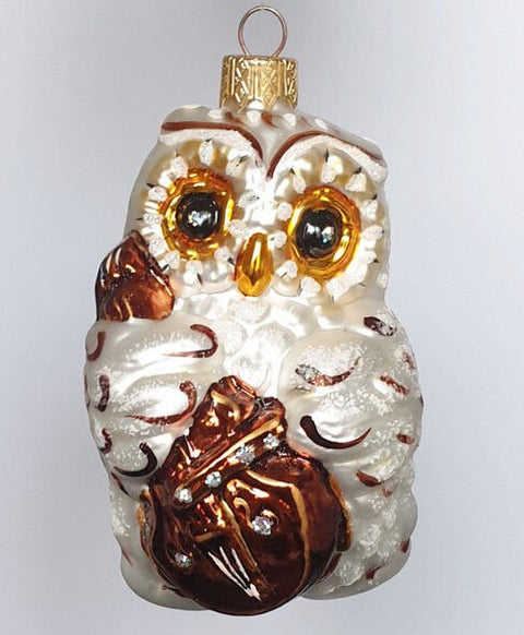 Hand Decorated Glass Keepsake Ornament - Charming Owl w Cello Design