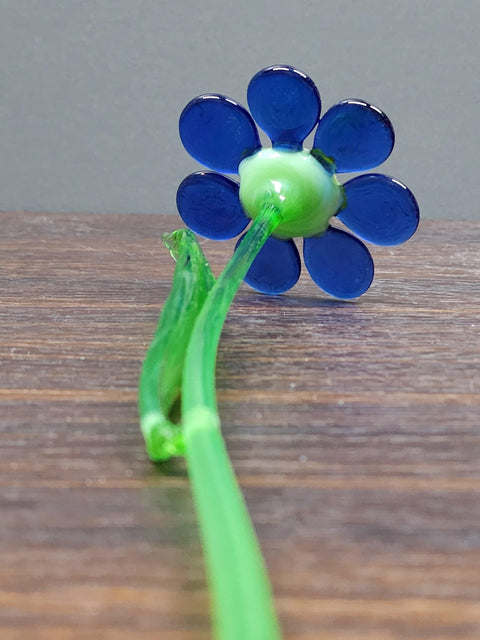 Blue Glass Daisy - Handcrafted Long Stem Flower