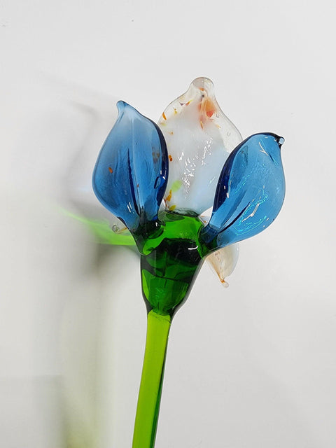 Blue Glass Orchid - Handcrafted Long Stem Flower