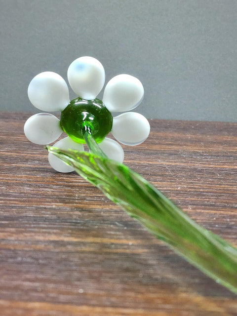 White Glass Daisy - Handcrafted Long Stem Flower